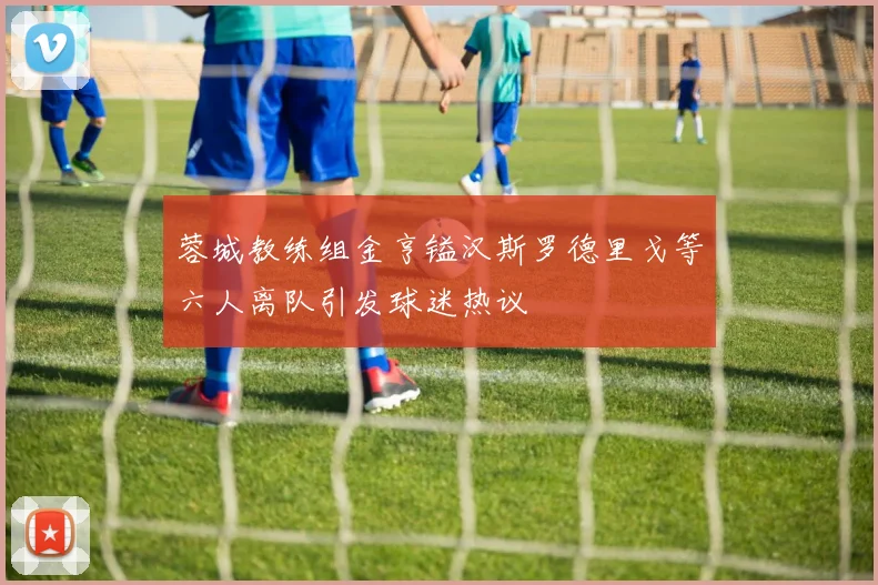 蓉城教练组金亨镒汉斯罗德里戈等六人离队引发球迷热议
